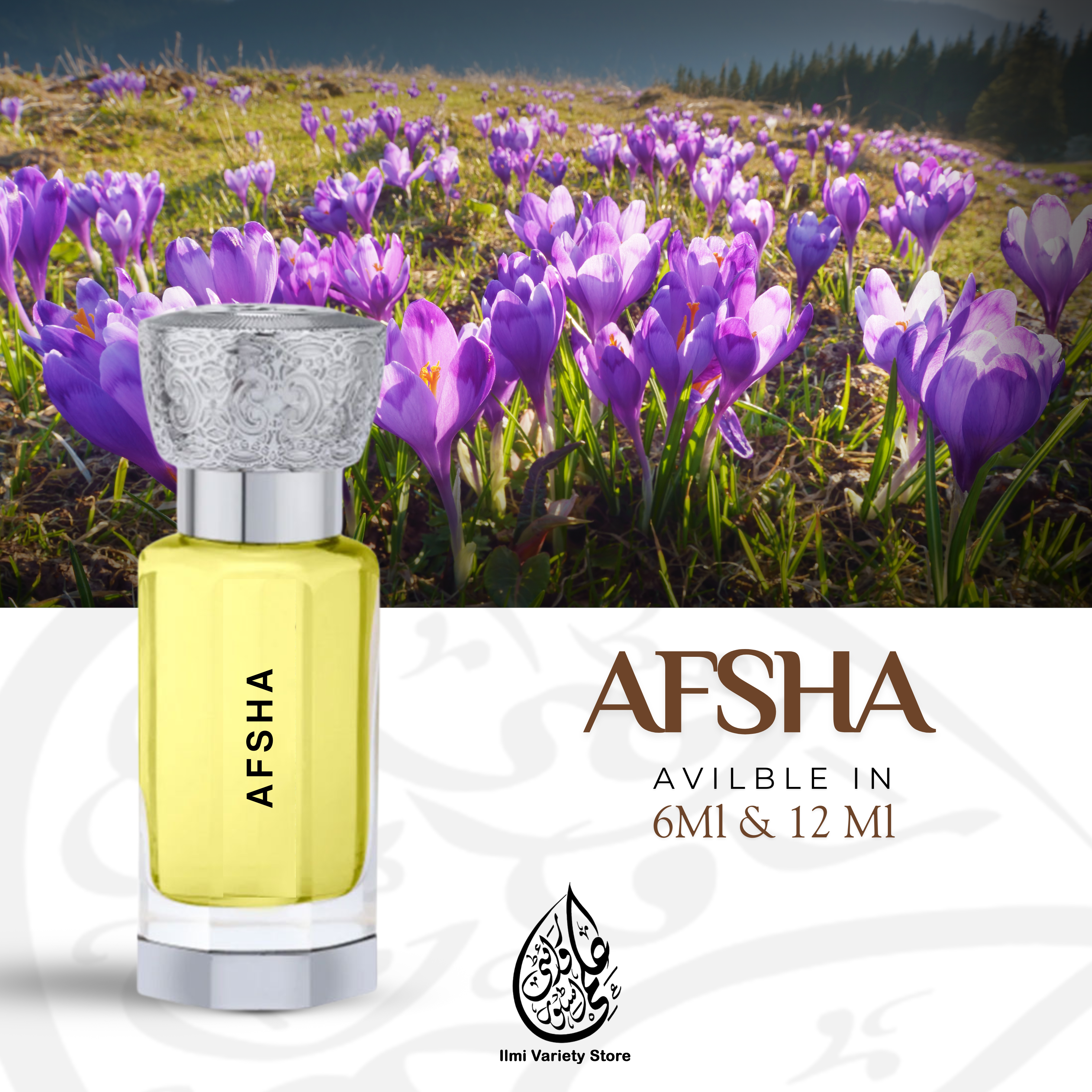 Afsha Ilmi Variety Store